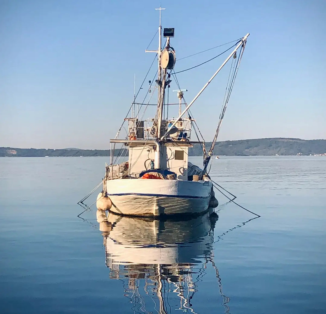 Boot vs. Küstenangeln: Vor- und Nachteile beim Meeresangeln