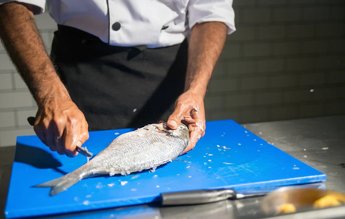 Fisch richtig filetieren - das Bild zeigt einen Mann, der einen Fisch filetiert