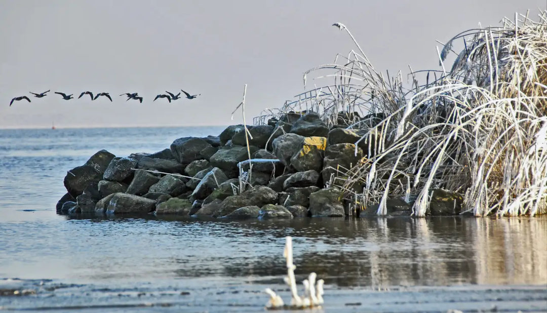 Das Lauwersmeer: Ein verborgenes Paradies für Angler