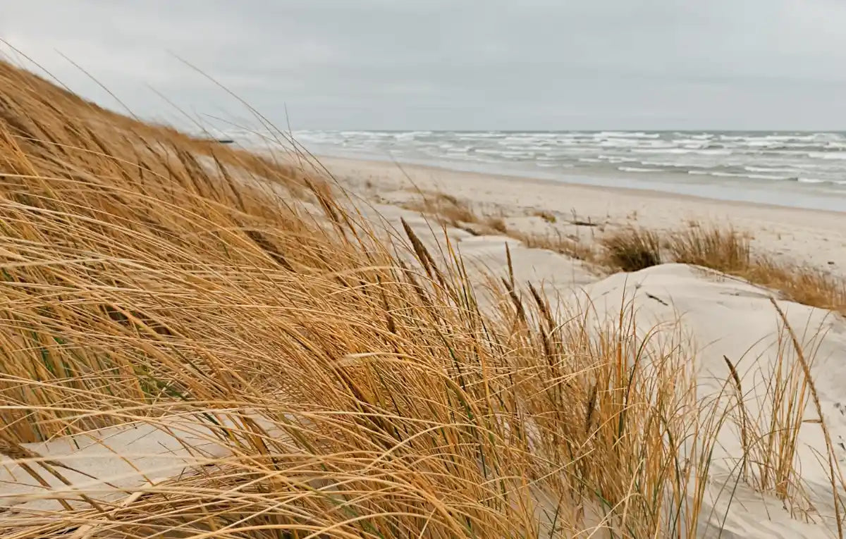 Die Ostsee: Anglerparadies ums Eck