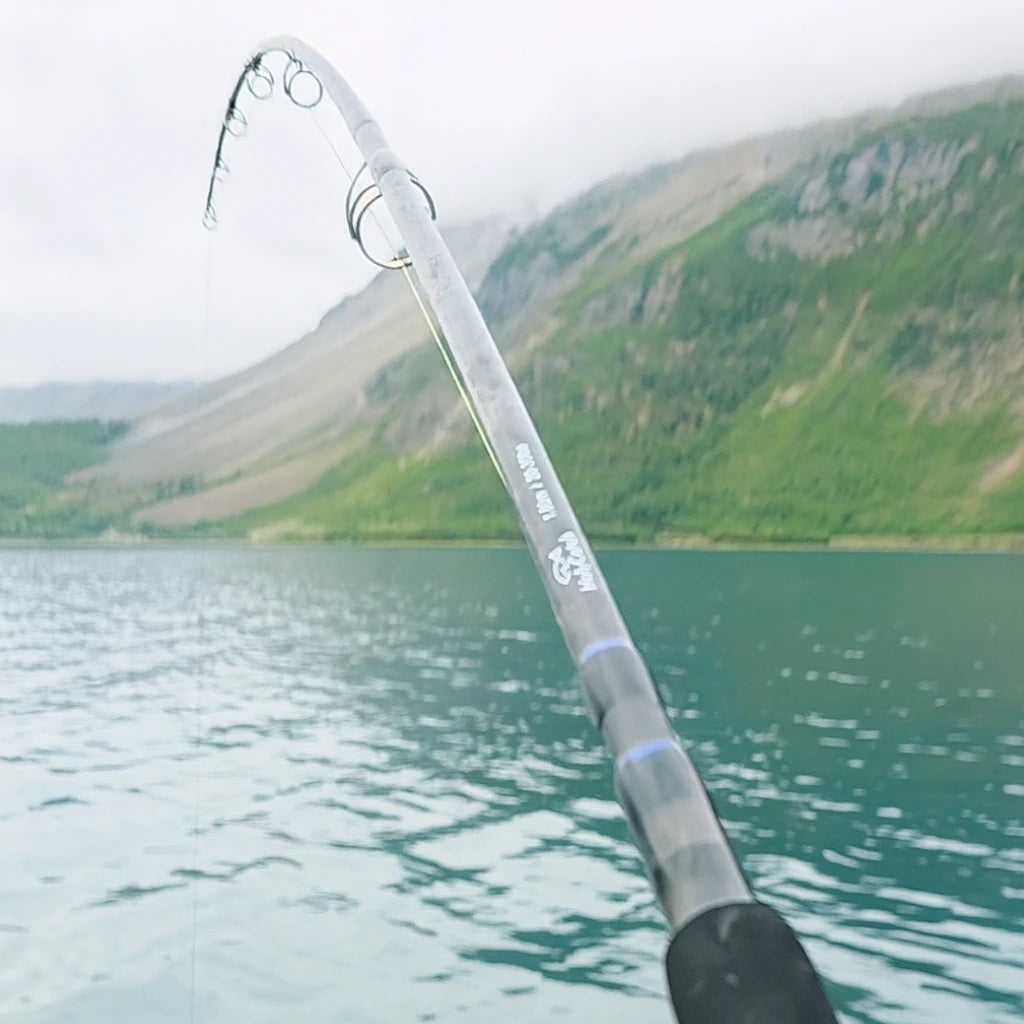 HolyCatch Bootsrute in der Biegekurve