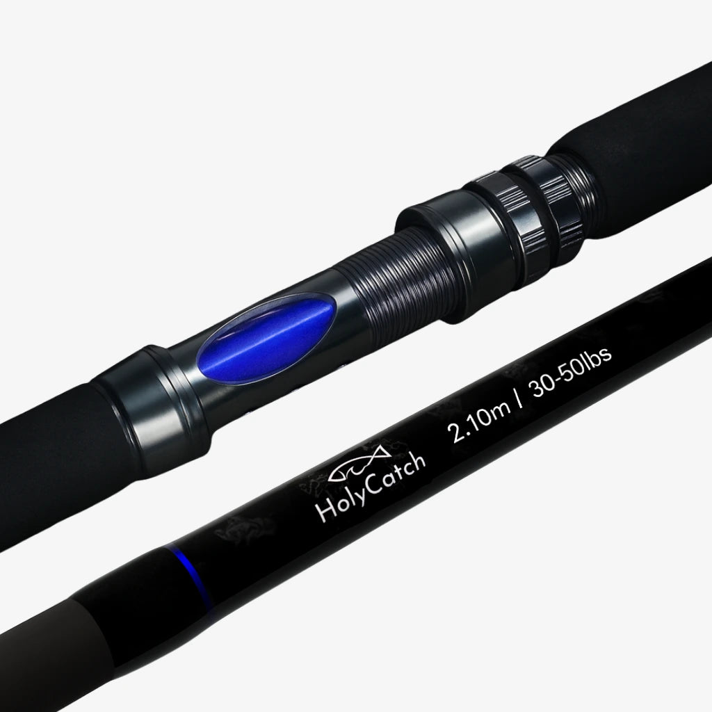 HolyCatch Bootsrute in 2.10m und 30-50lbs 
