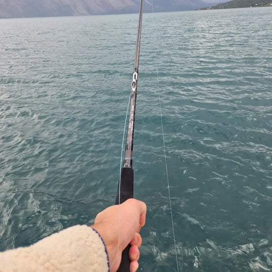 HolyCatch Inliner Angelrute mit durchgezogener Schnur vor dem Meer