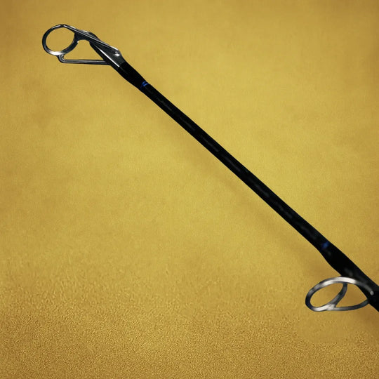 Der Spitzenring von der HolyCatch Pilkrute