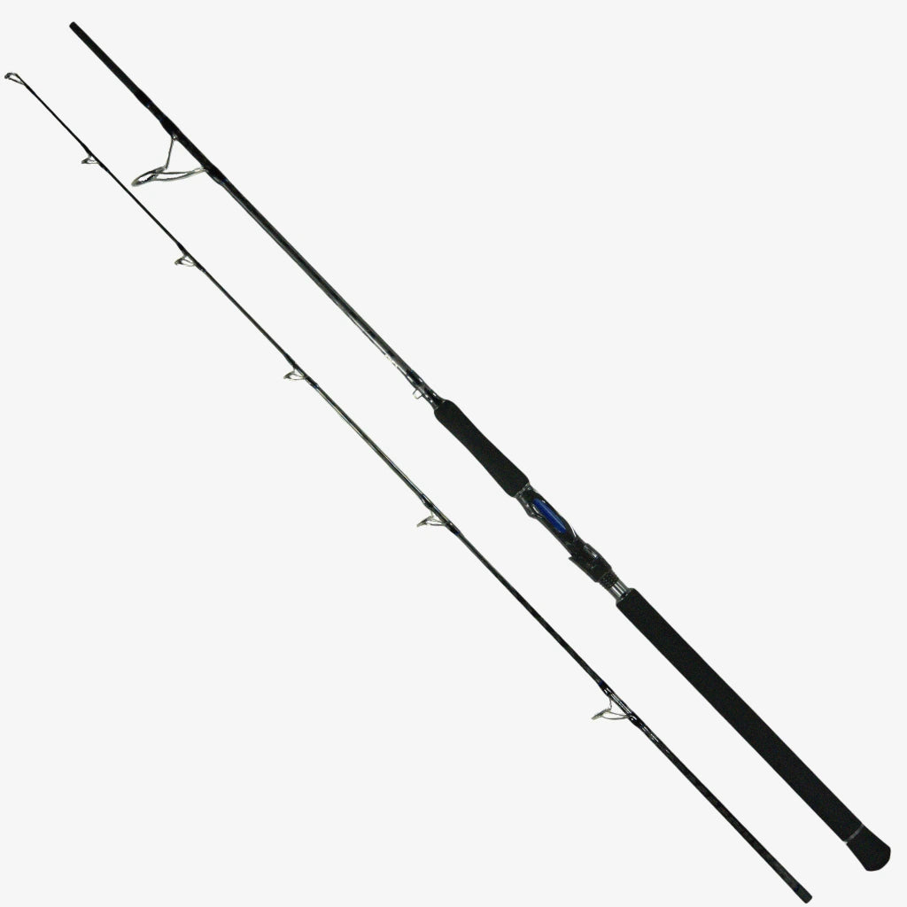 HolyCatch Spinnrute komplett
