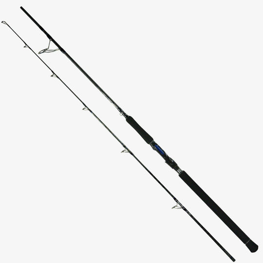 HolyCatch Spinnrute komplett