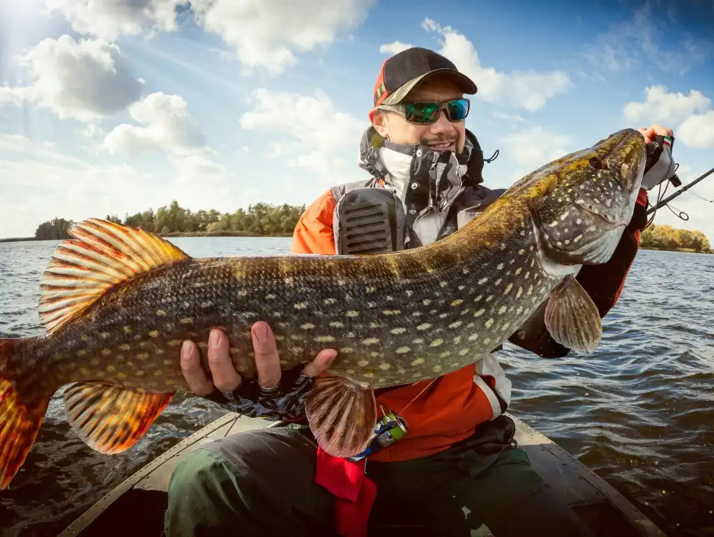 Ein Mann hält einen großen Hecht in die Kamera und hat dahinter eine Spinnrute liegen