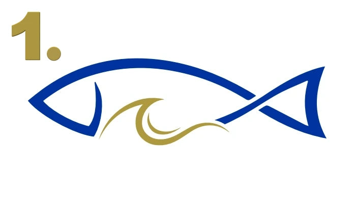 HolyCatch Fisch 