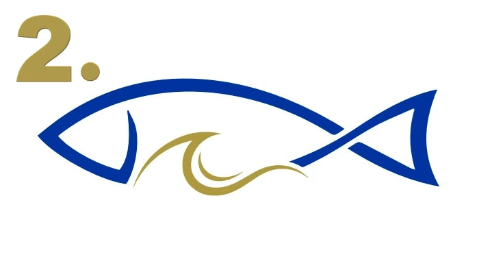 HolyCatch Fisch 