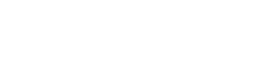 PayPal Icon